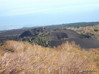 nte Zappinazzo-04-11-2012 10-59-39